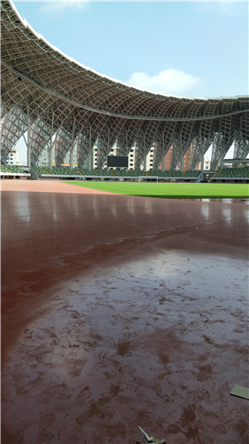 �\�ӈ����w��ƺ5